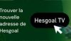 Hesgoal Nouvelle Adresse du Site - Février 2025